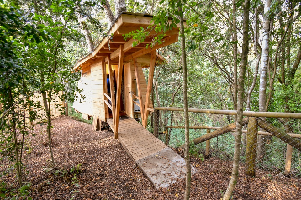 Foto Bosques de Loncotraro 101