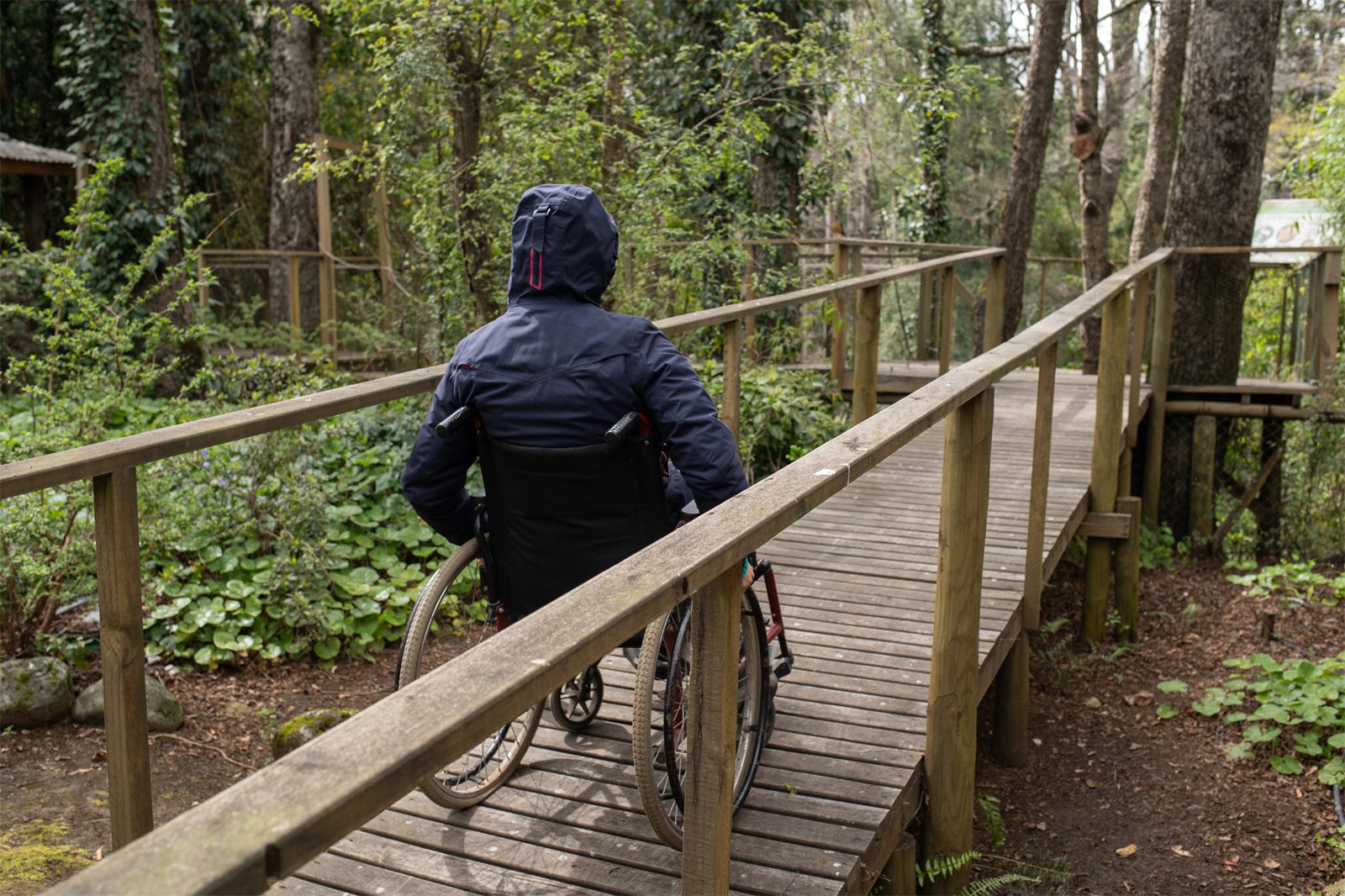 Foto Bosques de Loncotraro 8