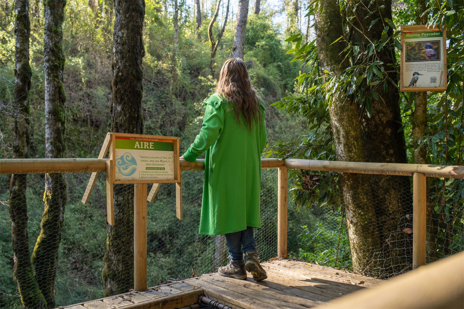 Foto Bosques de Loncotraro 22