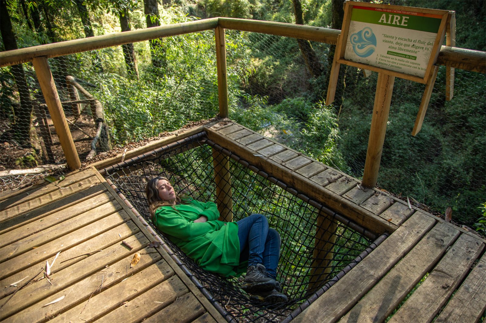 Foto Bosques de Loncotraro 23