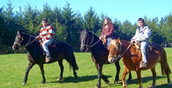 Cabalgatas en Pucón